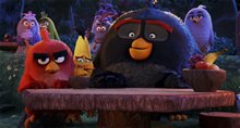 The Angry Birds Movie Photo 32