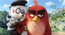The Angry Birds Movie Photo 38