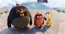 The Angry Birds Movie Photo 40