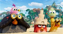 The Angry Birds Movie 2 Photo 12