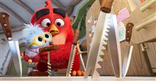The Angry Birds Movie 3 Photo 4