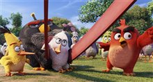 The Angry Birds Movie Photo 14