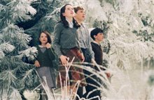 The Chronicles of Narnia: The Lion, the Witch and the Wardrobe Photo 8