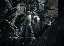 The Hobbit: The Desolation of Smaug Photo 37