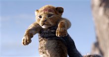 The Lion King Photo 3