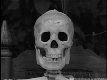 The Lost Skeleton of Cadavra Photo 2 - Large