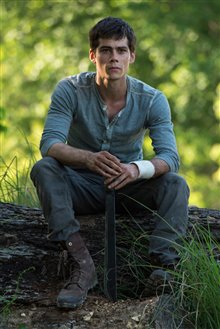 The Maze Runner Photo 20 - Large