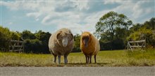 The Sheep Detectives Photo 5