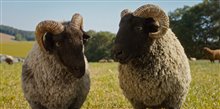 The Sheep Detectives Photo 7