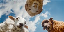 The Sheep Detectives Photo 11