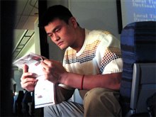 The Year of the Yao Photo 3