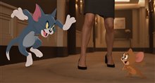 Tom & Jerry Photo 5