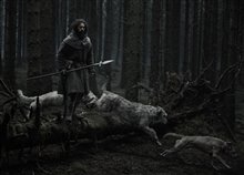 Werwulf Photo 1