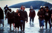 Whale Rider Photo 7 - Large