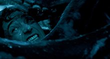 Whalefall Photo 4