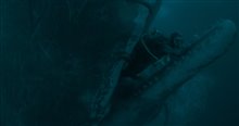 Whalefall Photo 8