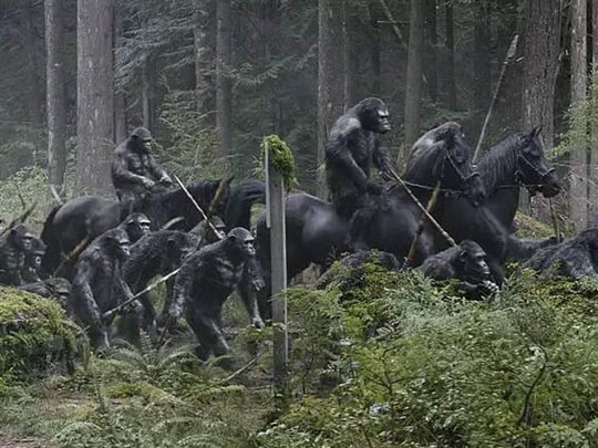 Dawn of the Planet of the Apes Photo 2 - Large