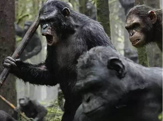 Dawn of the Planet of the Apes Photo 6 - Large