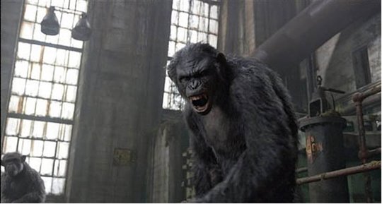Dawn of the Planet of the Apes Photo 8 - Large