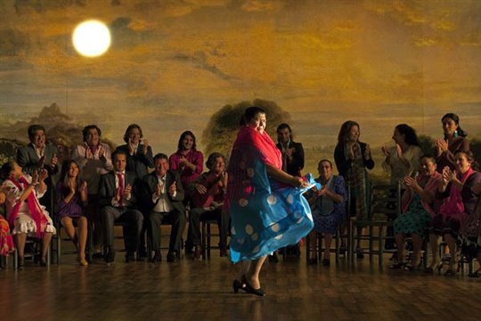 Flamenco, Flamenco Photo 7 - Large