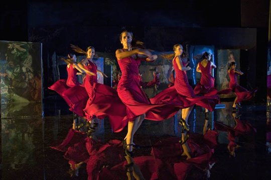 Flamenco, Flamenco Photo 11 - Large