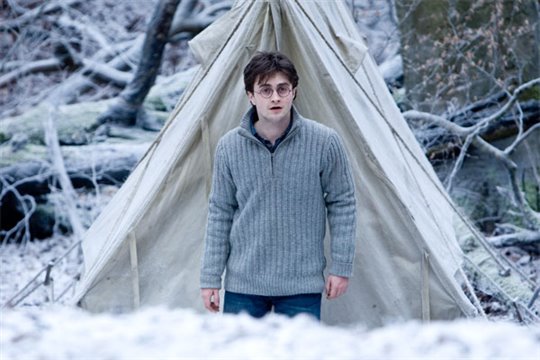 Harry Potter and the Deathly Hallows: Part 1 Photo 36 - Large