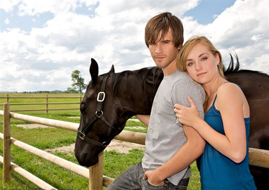 Heartland: The Complete Second Season Photo 1 - Large