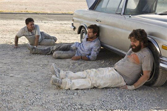 The Hangover Photo 2 - Large