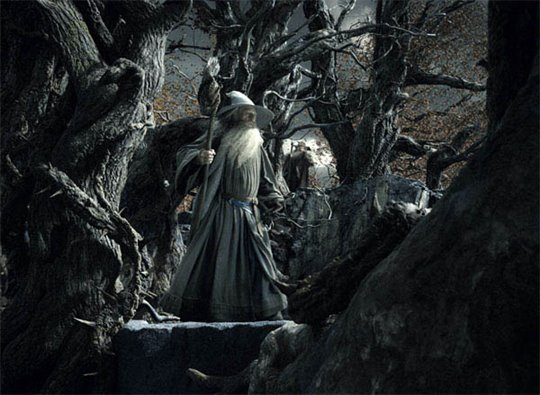 The Hobbit: The Desolation of Smaug Photo 37 - Large
