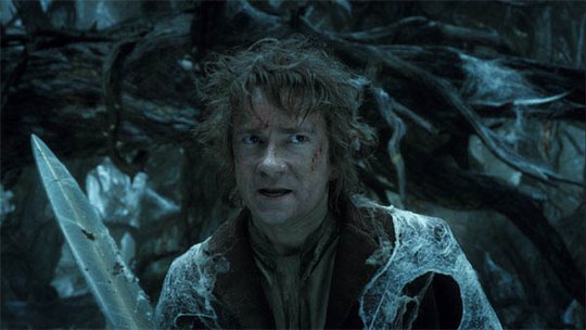 The Hobbit: The Desolation of Smaug Photo 39 - Large