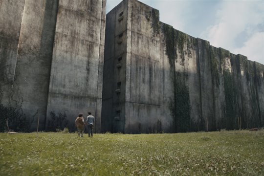 The Maze Runner Photo 1 - Large