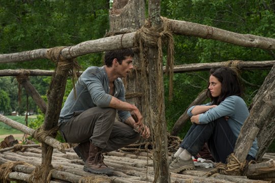 The Maze Runner Photo 3 - Large