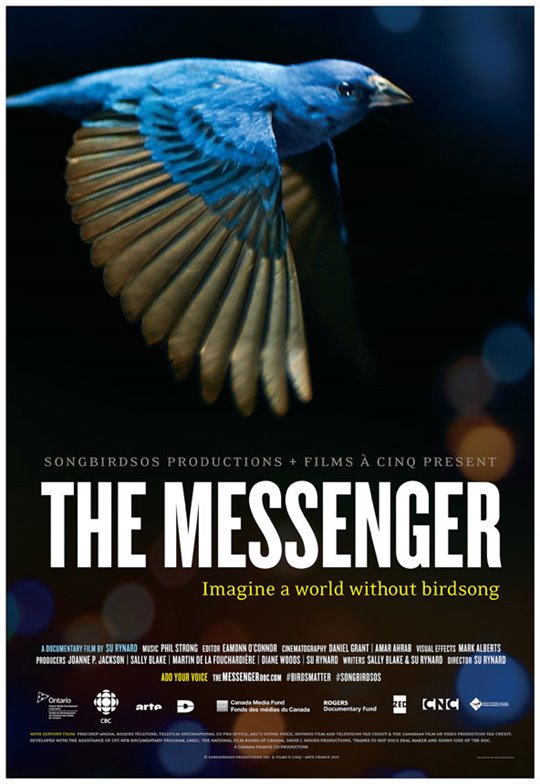 The Messenger Photo 2 - Large