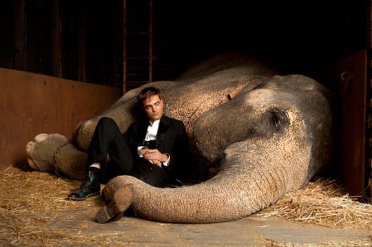 Water for Elephants Photo 1 - Large