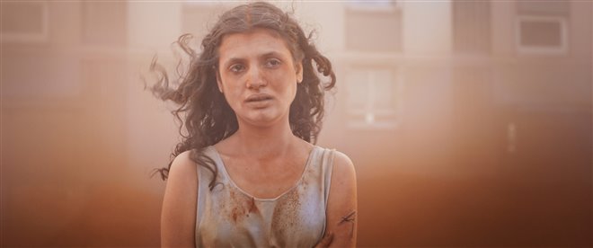 Alpha Photo 1 - Large