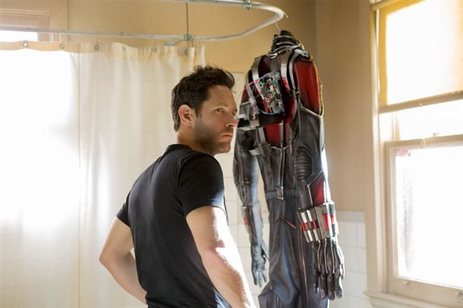 Ant-Man Photo 14 - Large