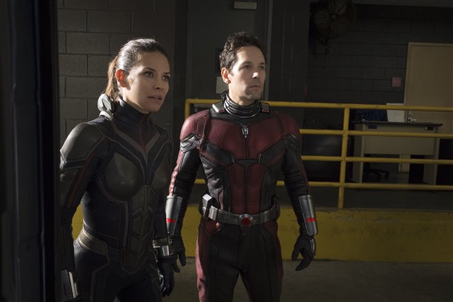 Ant-Man and The Wasp Photo 8 - Large
