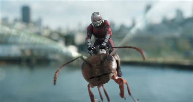 Ant-Man and The Wasp Photo 10 - Large