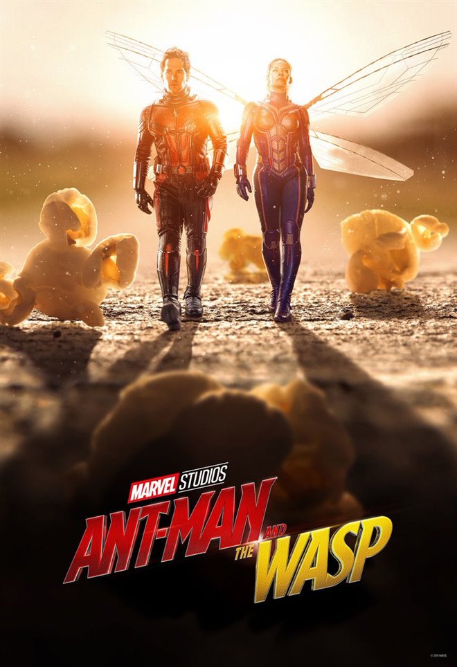 Ant-Man and The Wasp Photo 46 - Large