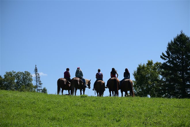 Blood Lines Photo 1 - Large