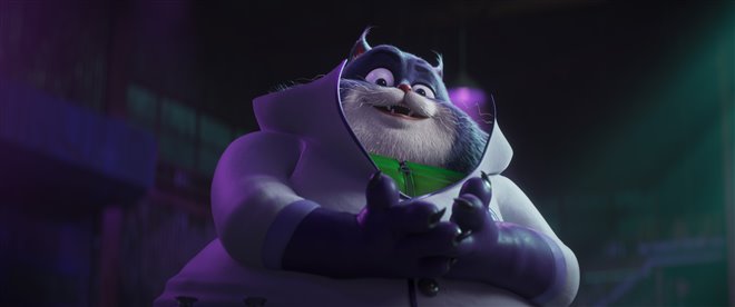 Charlie the Wonderdog Photo 4 - Large