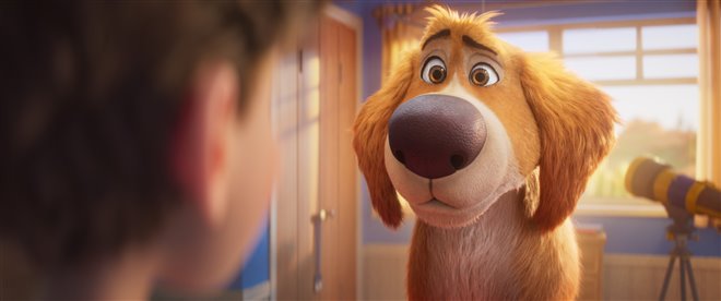 Charlie the Wonderdog Photo 6 - Large