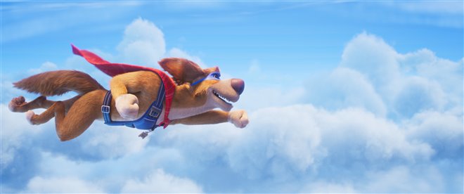 Charlie the Wonderdog Photo 8 - Large