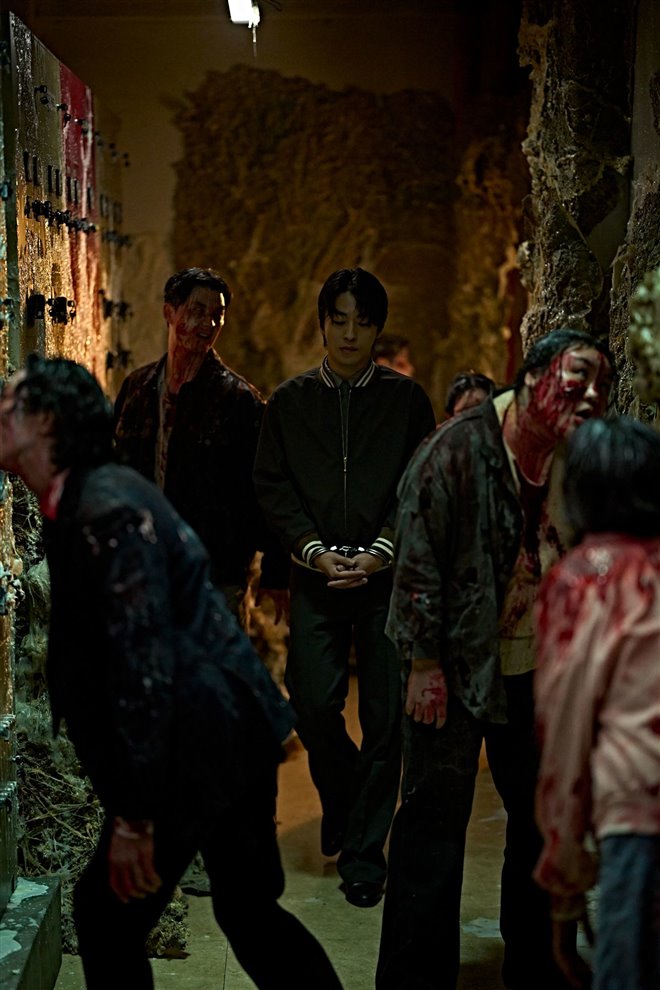 Colony Photo 14 - Large