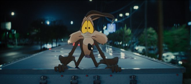 Coyote vs. Acme Photo 2 - Large