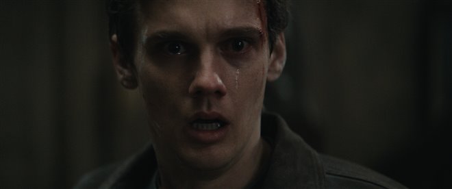 Evil Dead Burn Photo 4 - Large