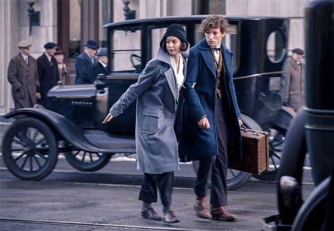 Fantastic Beasts and Where to Find Them Photo 3 - Large