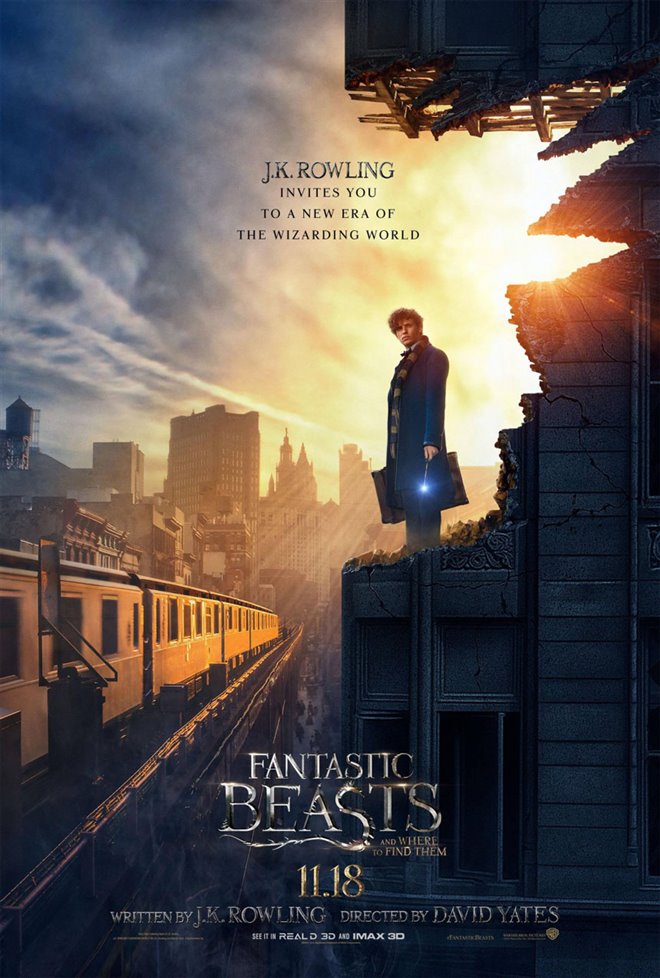 Fantastic Beasts and Where to Find Them Photo 45 - Large