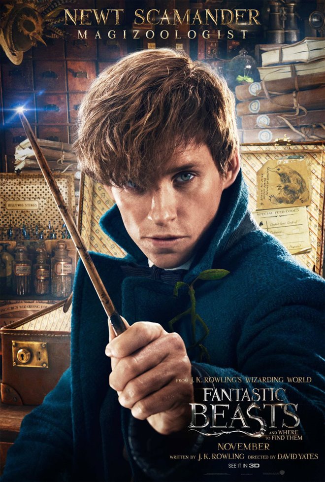 Fantastic Beasts and Where to Find Them Photo 53 - Large