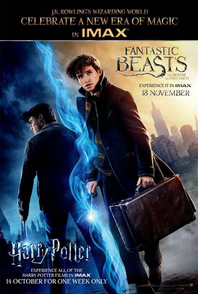 Fantastic Beasts and Where to Find Them Photo 57 - Large